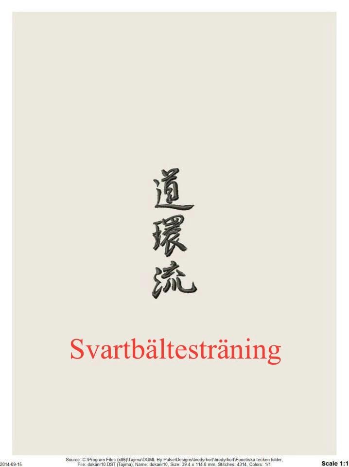 Svartbältesträning Yudanshakai
