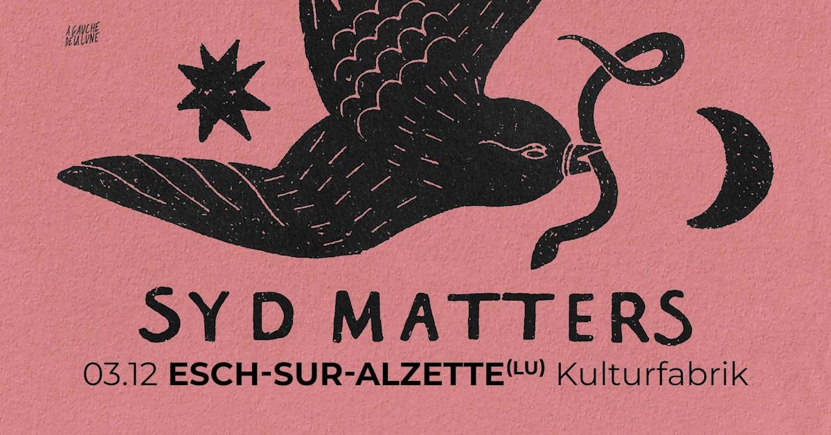 Syd Matters + Blumi - Kulturfabrik