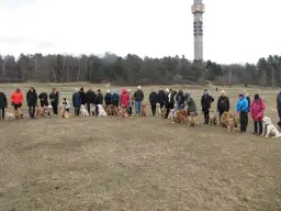 Goldenträff på Gärdet