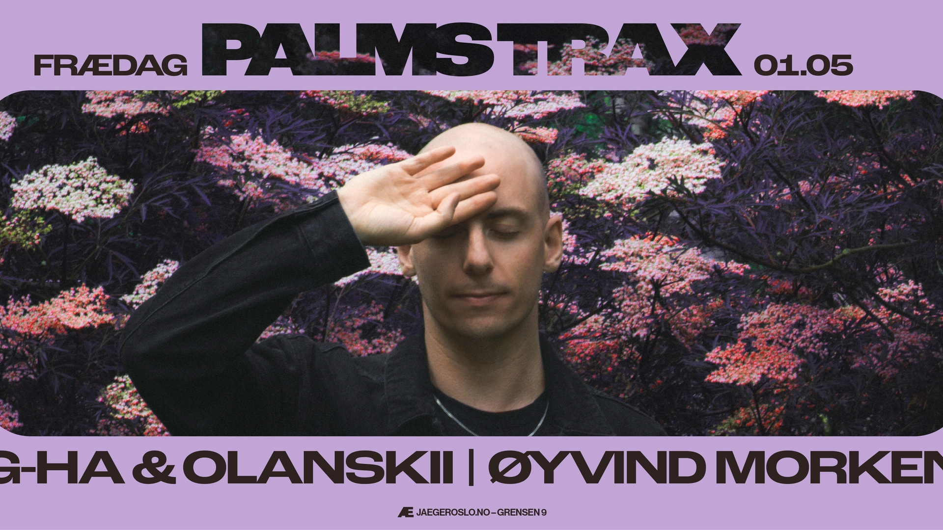 Frædag: Palms Trax