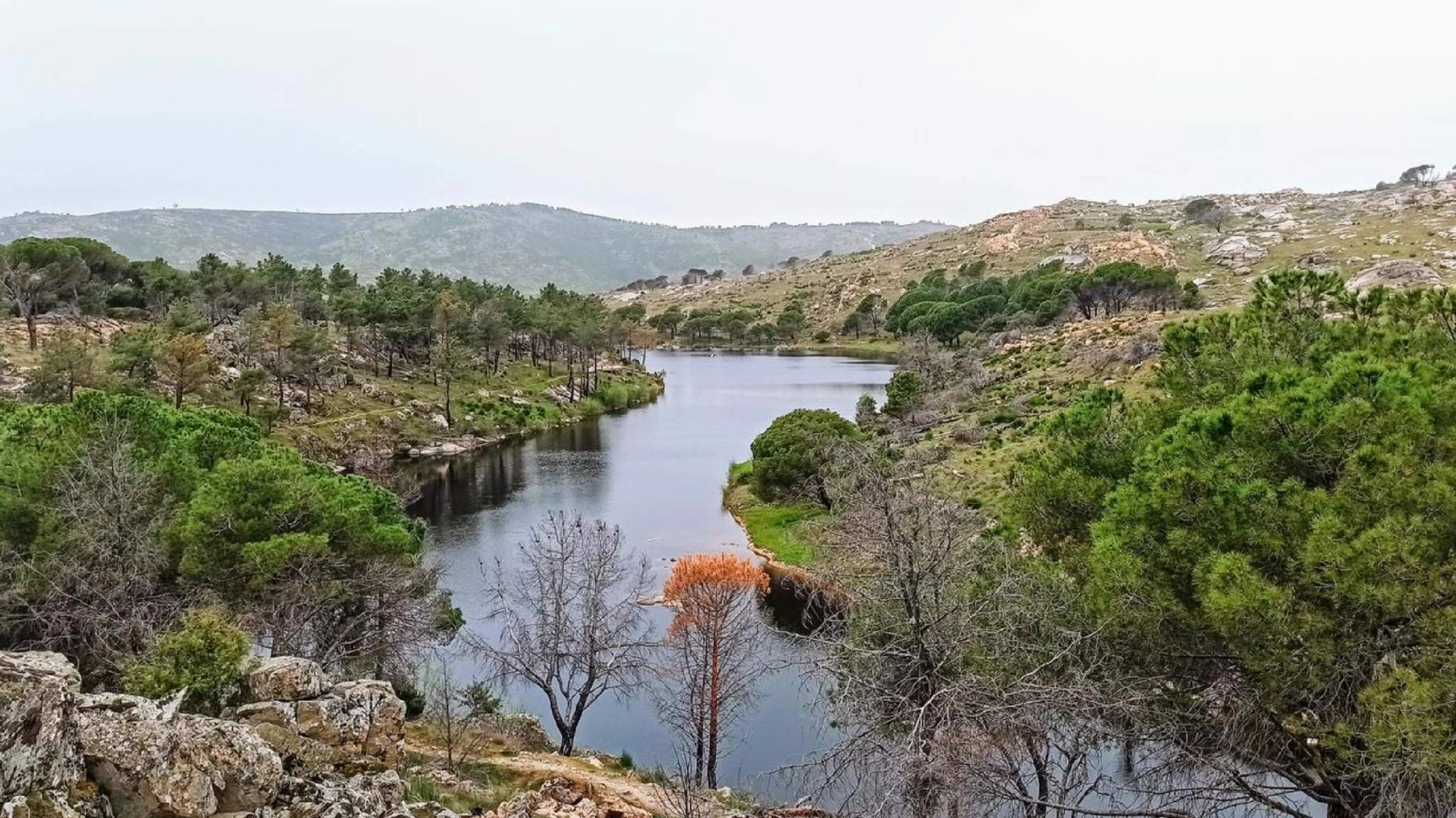 Senda del Agua en Hoyo ,Nivel Básico **DOMINGO DIA 10 **
