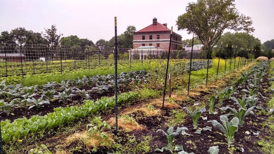 Heritage Farm and Compost tour