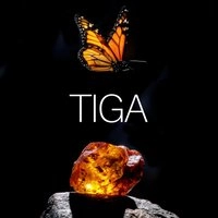 Amber's Presents: Tiga