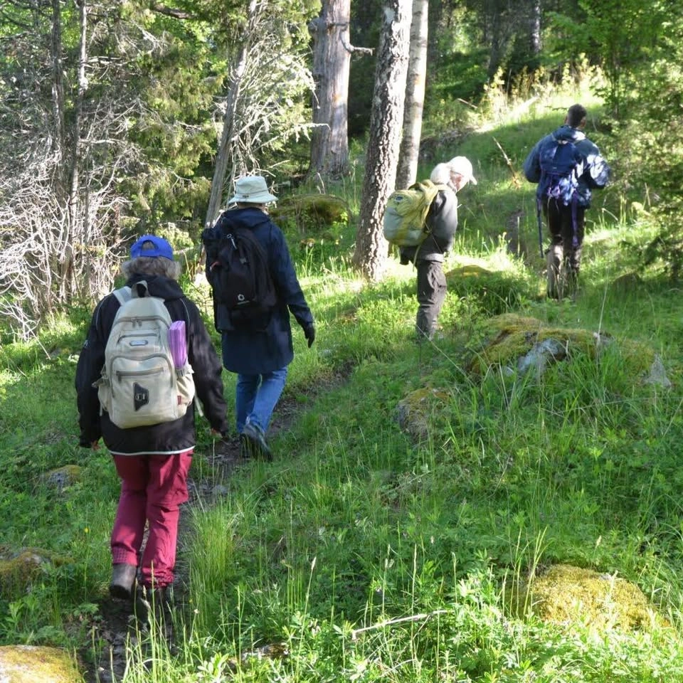 Bli naturvägledare - bryggan mellan människan och det vilda