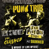 Sex Pistols Exposé/Lizzie & The Banshees/Clashed/We'll be Damned