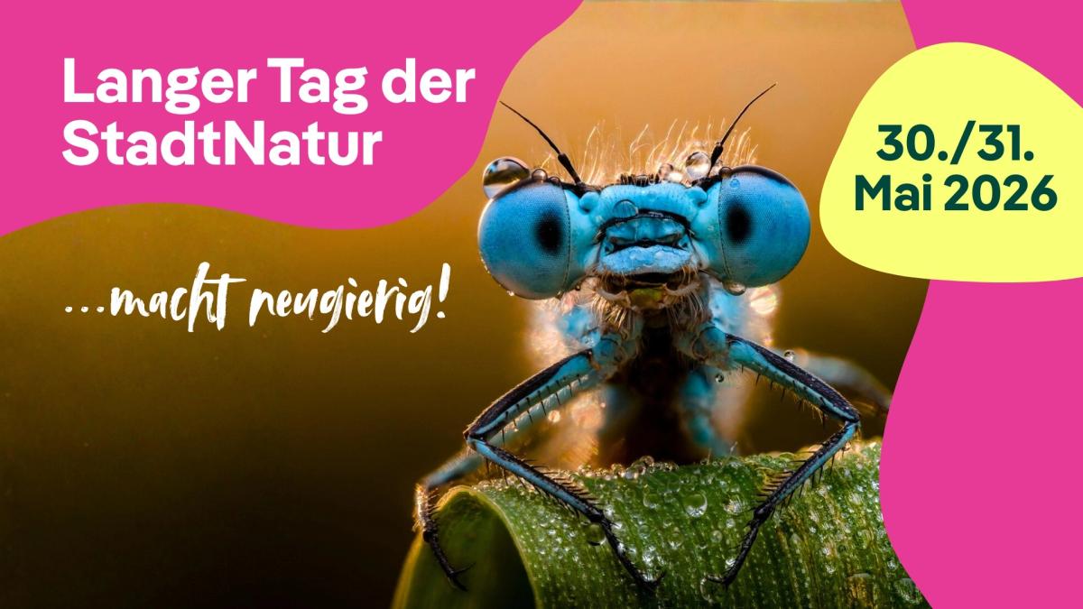 Langer Tag der StadtNatur 2026
