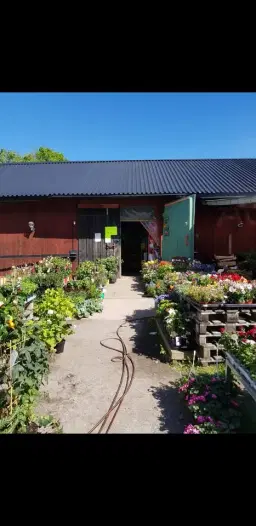 Öppningshelg av Anettes Lada på Gålö🌺