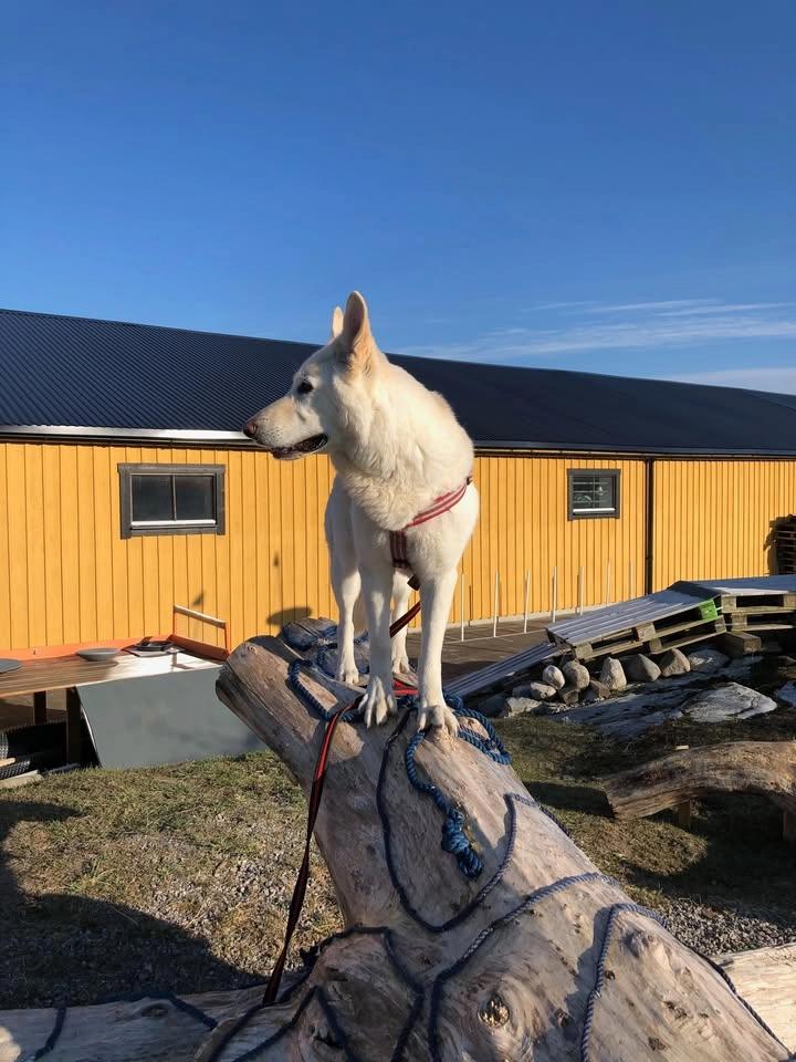 DAGKURS