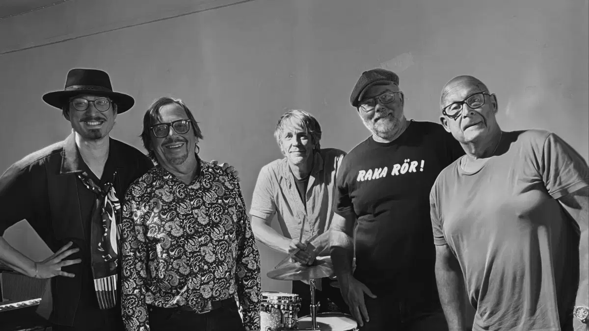 Picknick-konsert med The Real Aces