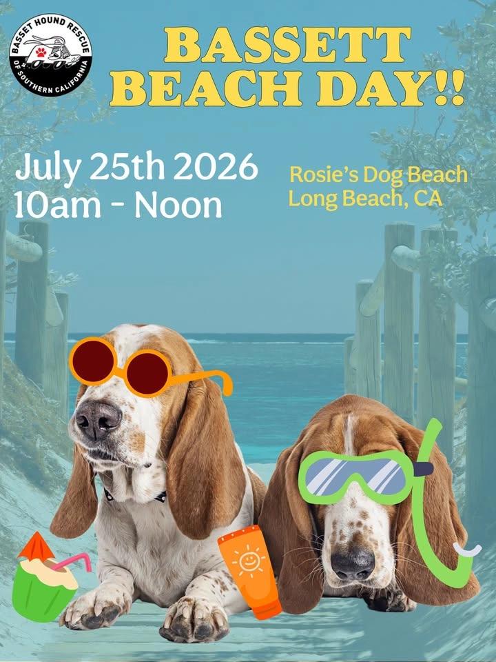 Basset Beach Day