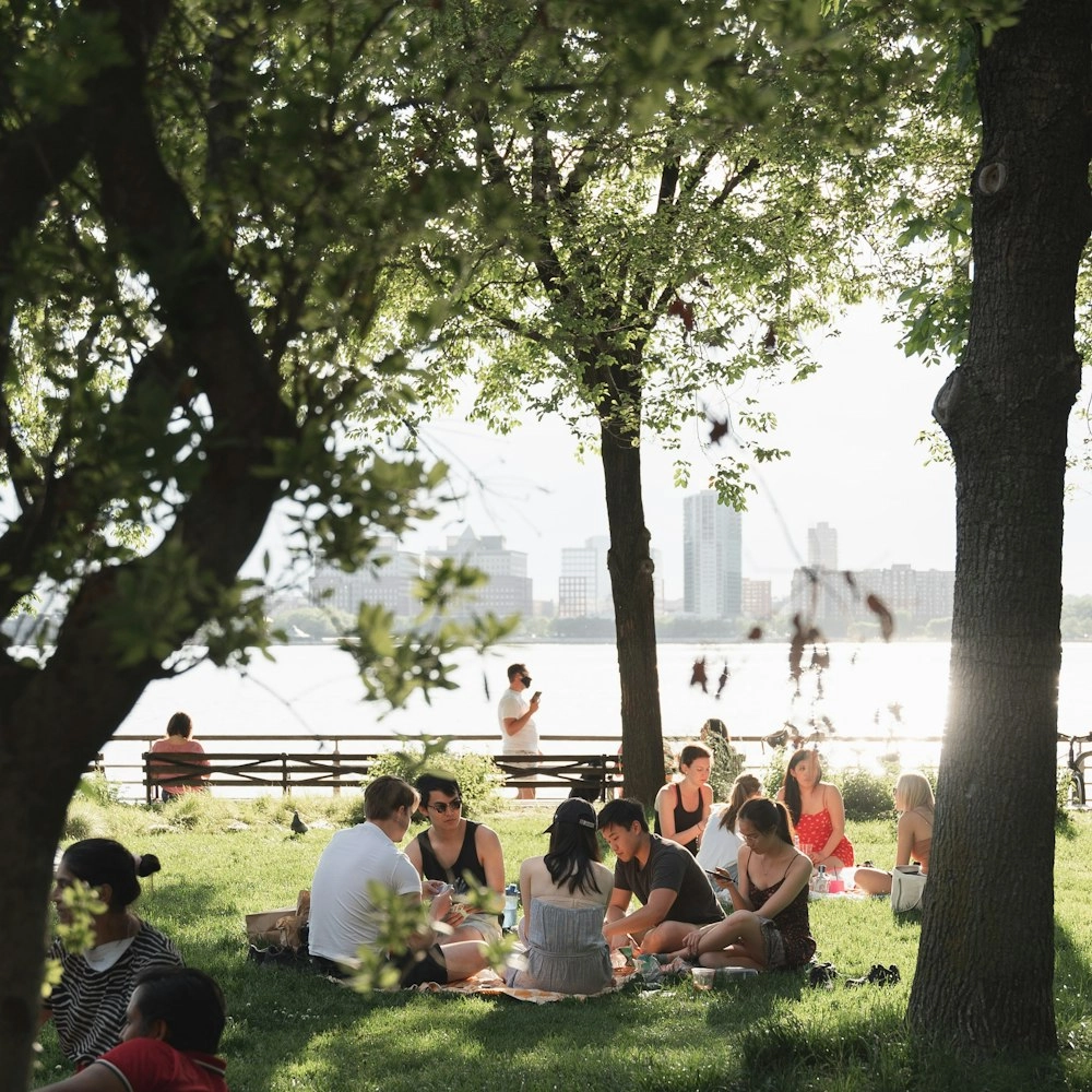 Cross-NYC Healthcare Community - Picnic Hangout