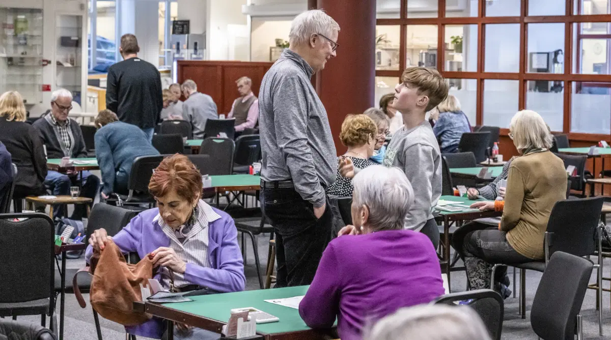 Lär dig spela bridge