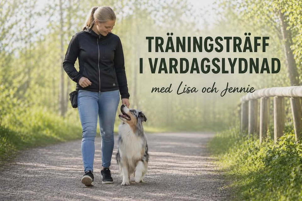 Vardagslydnad med störning - öppen träning