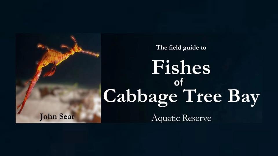 Dive Club Information Evening: The Fishes of Cabbage Tree Bay