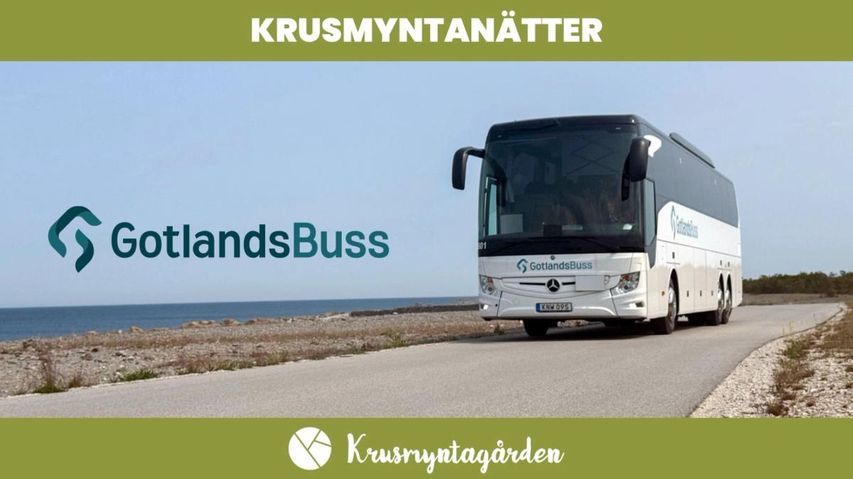 Busstransfer Visby Österport - Krusmyntagården