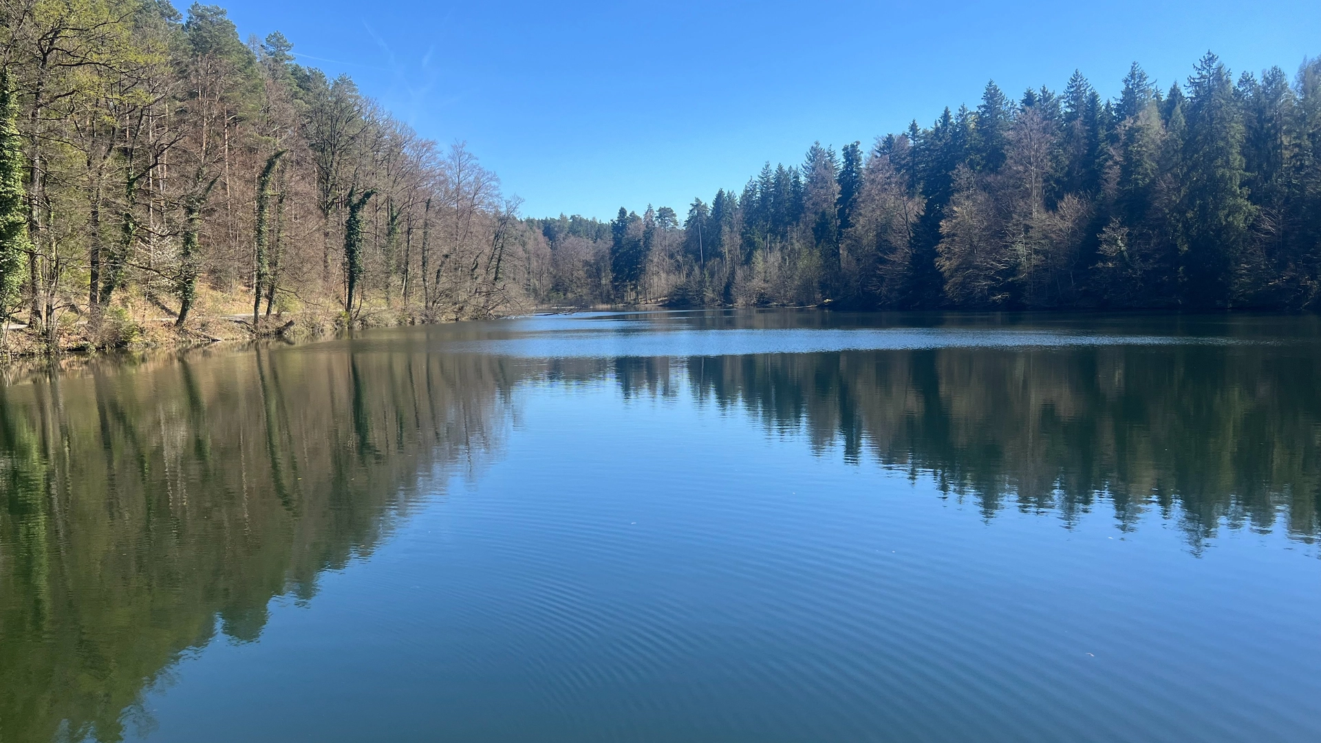 Earth Reconnection Day