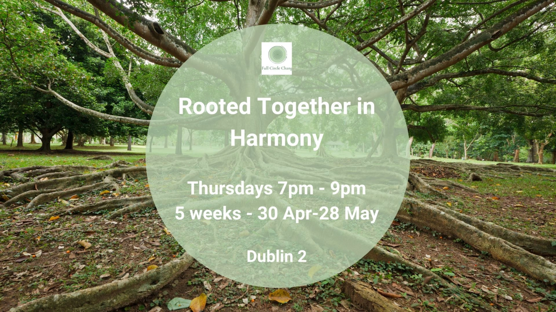 Rooted Together in Harmony Singing & Voice Journey