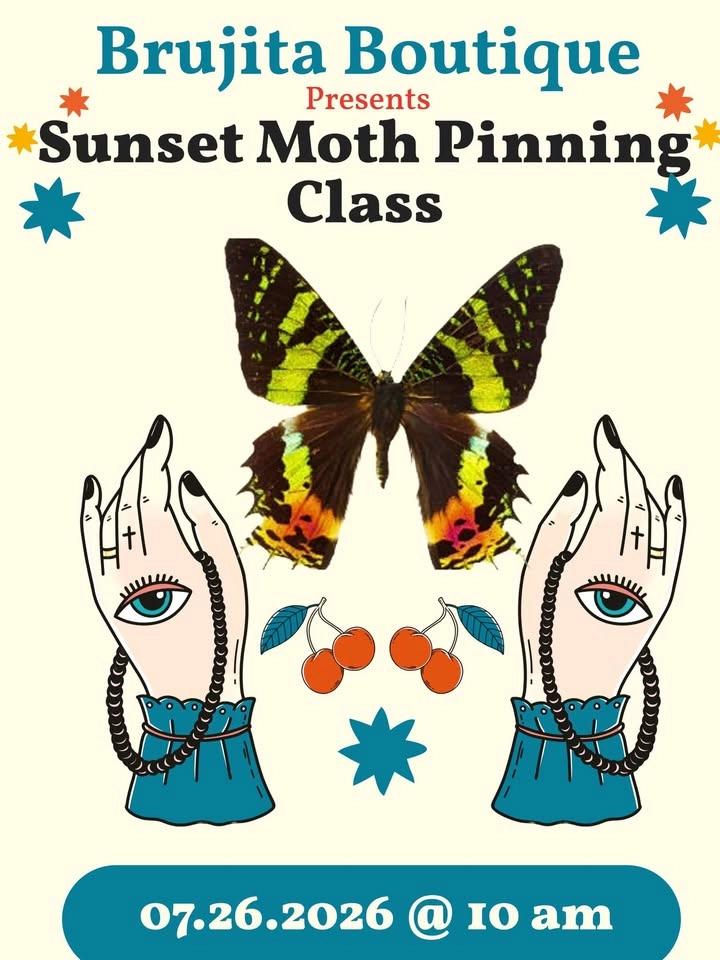Sunset Moth & Butterfly Pinning Class