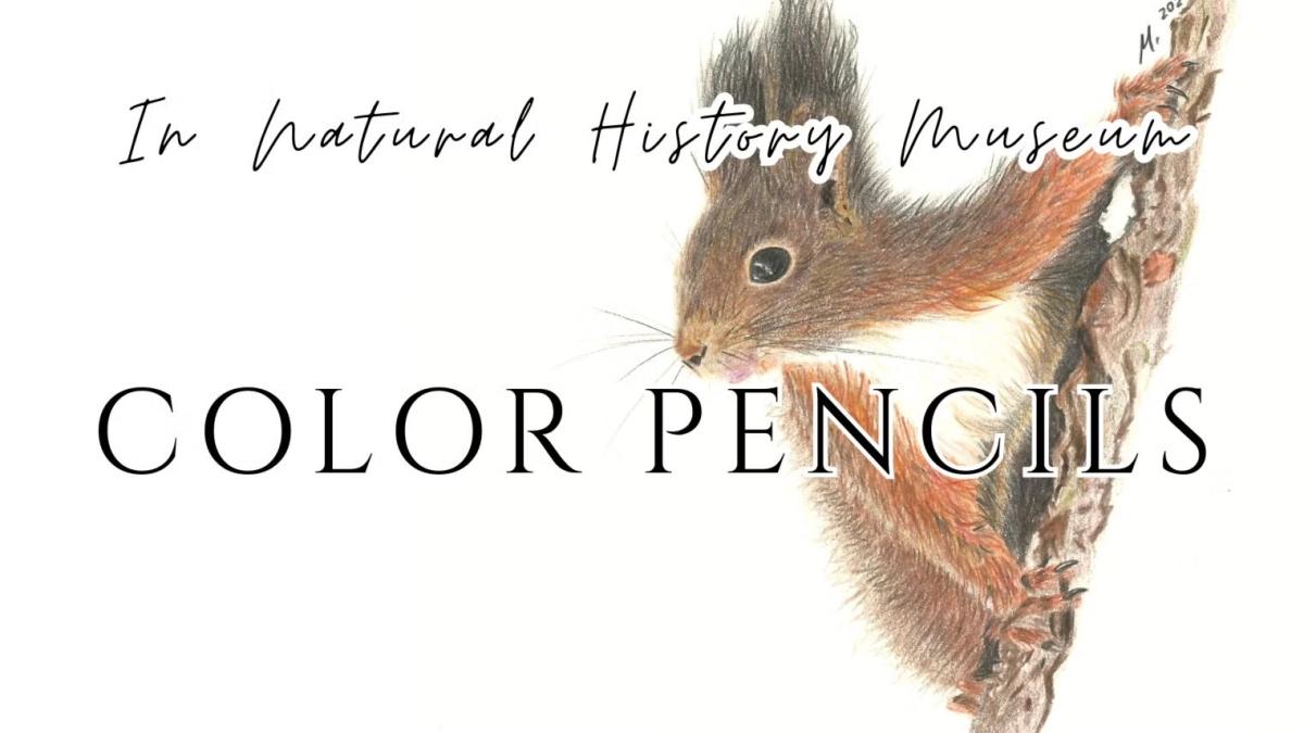 COLOR PENCILS✏️Drawing Animals in Natural History Museum