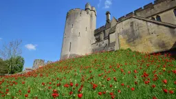 🌷 Фестиваль тюльпанов в Арунделе