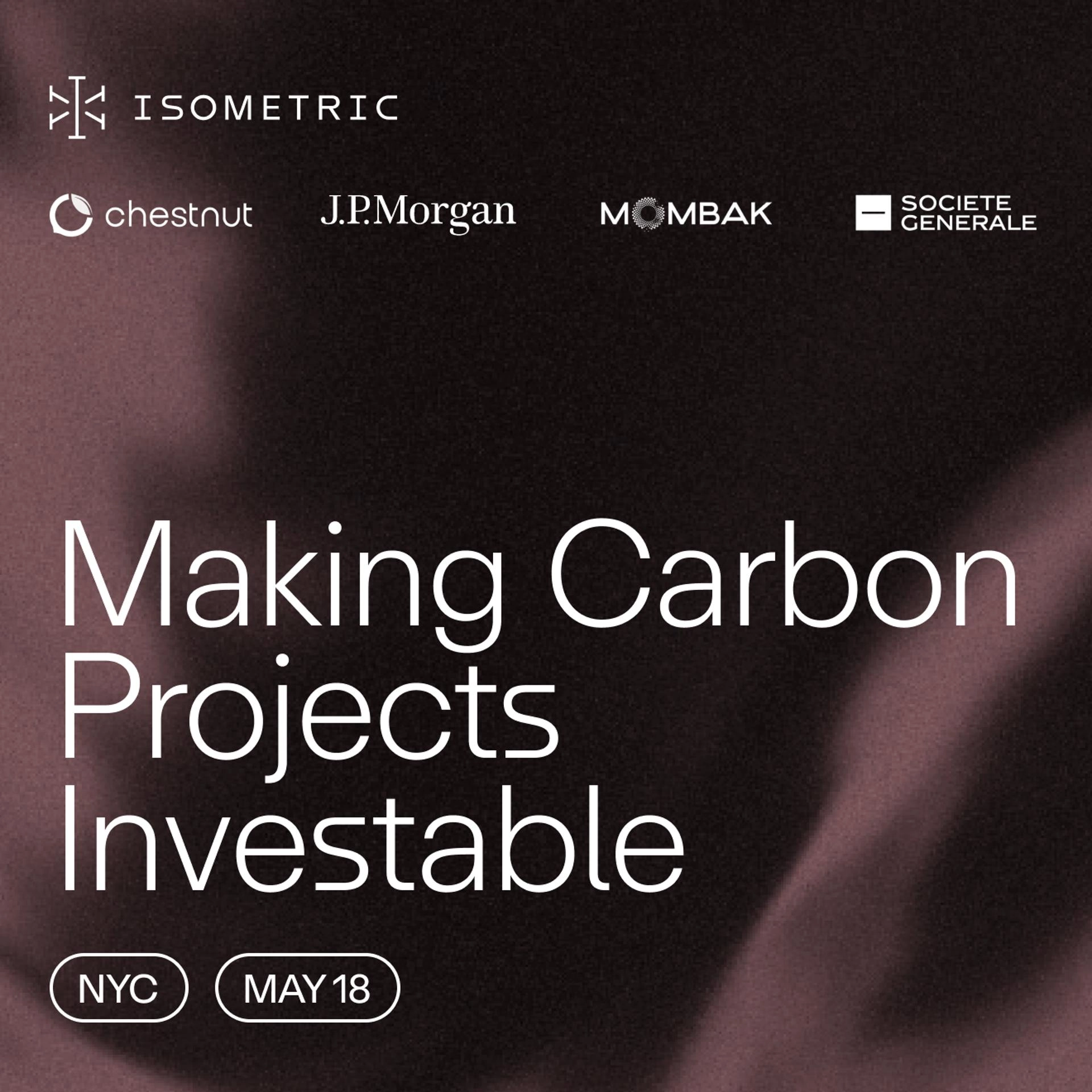 Making Carbon Projects Investable