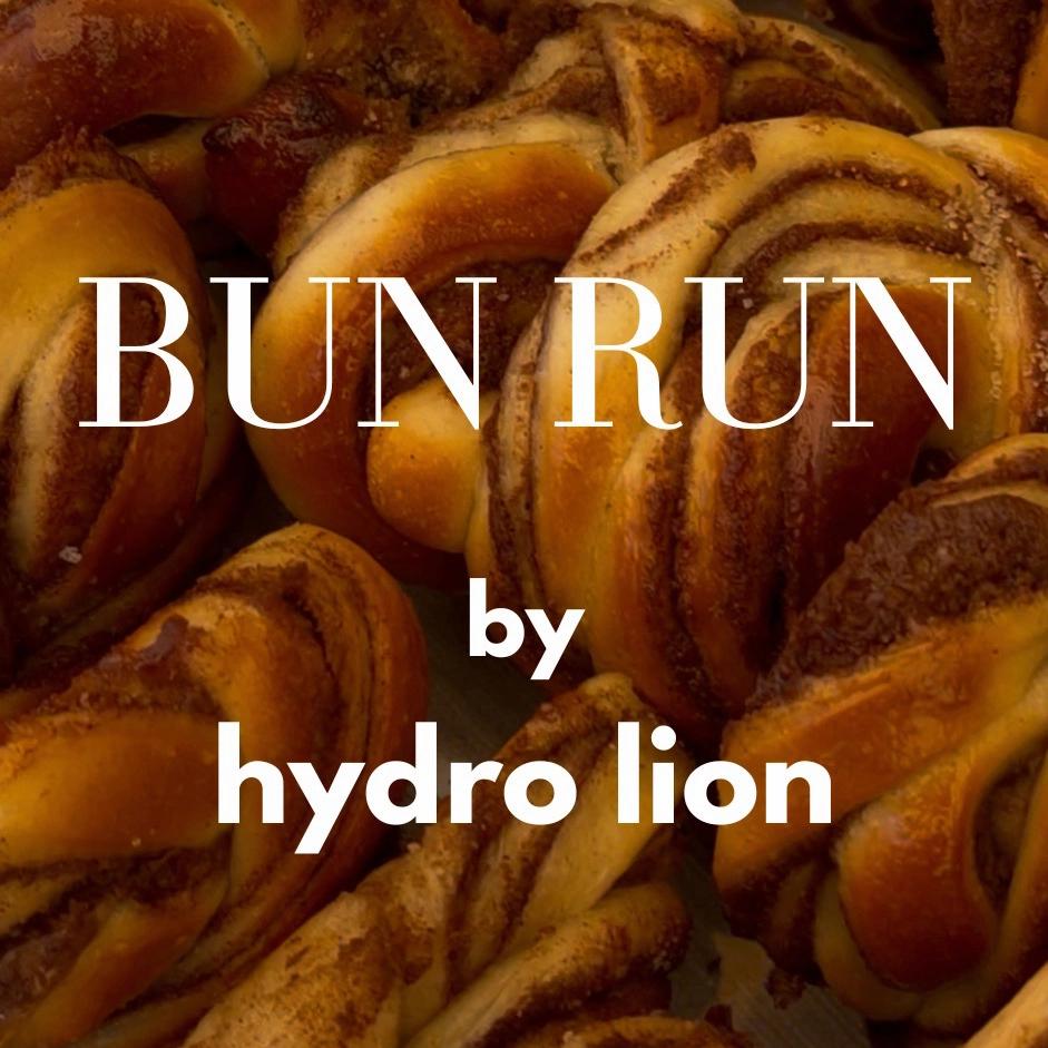 Munich Bun Run - by hydro lion