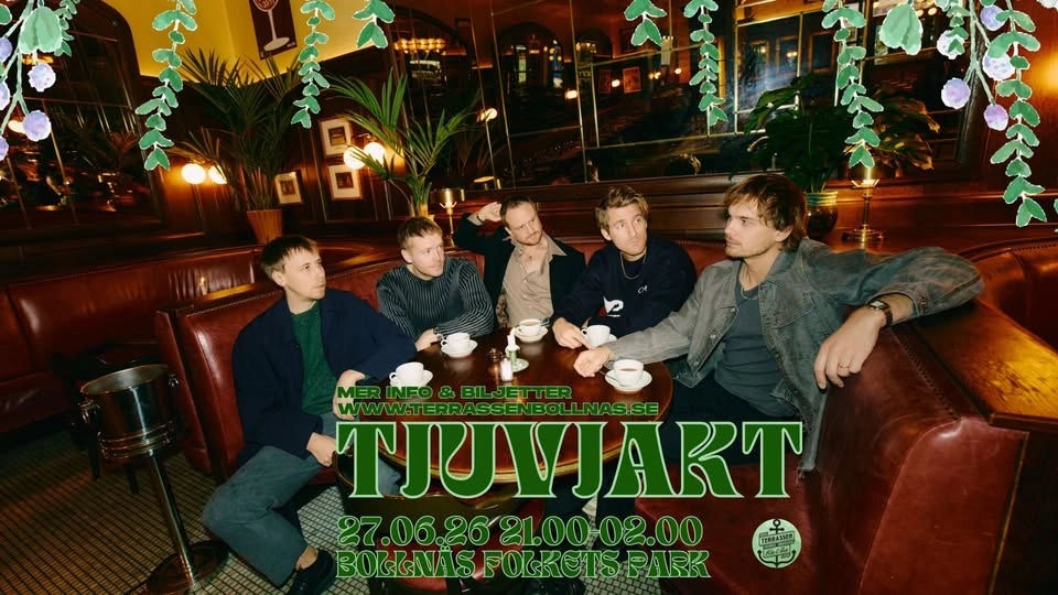 TJUVJAKT - BOLLNÄS FOLKETS PARK