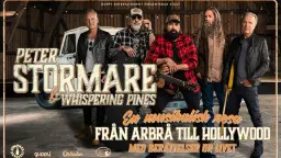 Peter Stormare – Från Arbrå till Hollywood