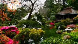 🌿 A Morning Walk Of Awe -- Japanese Tea Garden