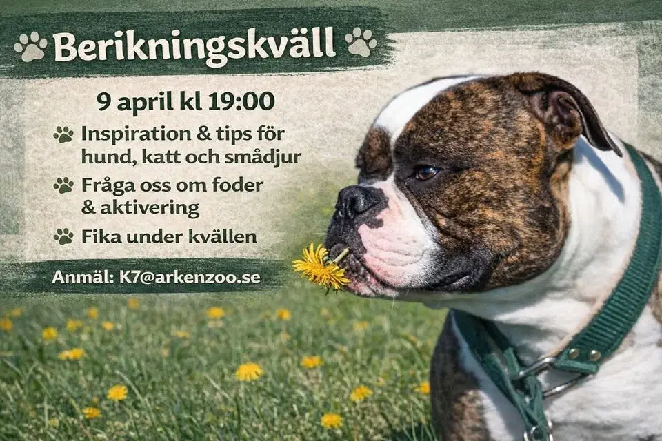 Berikningskväll!