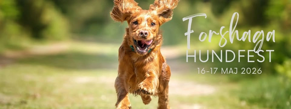 Forshaga Hundfest 2026