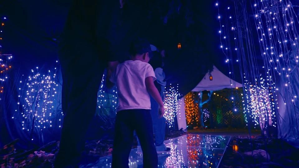 Forest of Shadows - A Spooky Interactive Experience