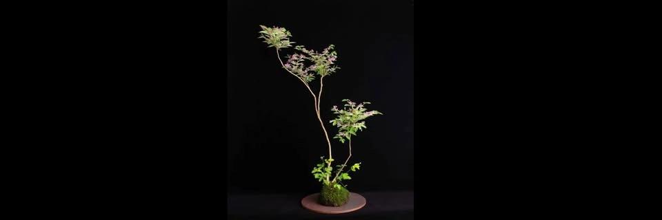 Introduction to the Art of Kusamono Workshop