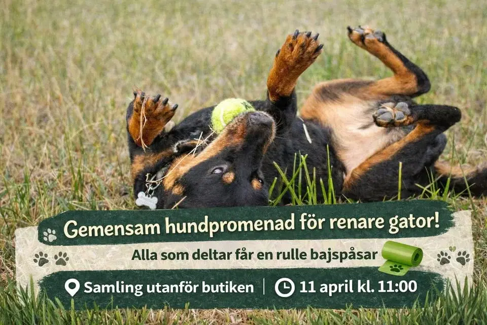 Gemensam hundpromenad för renare gator!