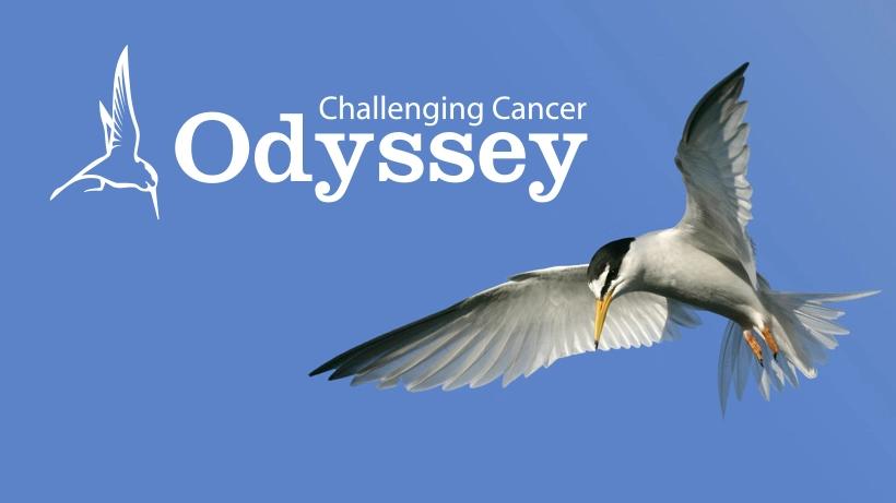 Odyssey Course