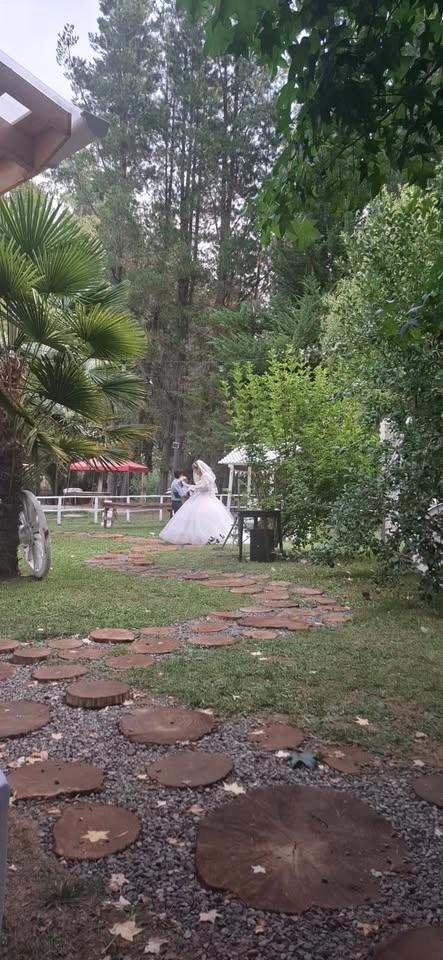 bodas de plata