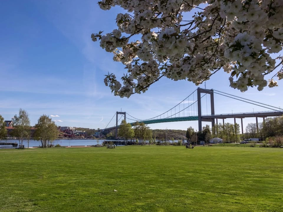 Högläsning och historia i Färjenäsparken med Bengt Anderberg-sällskapet