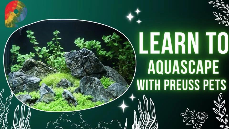 Aquascaping Class Series