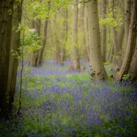 Conscious Connected Breathwork with Lyndsey & Anna