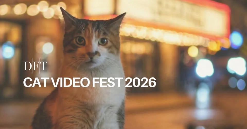 FILM: CAT VIDEO FEST 2026