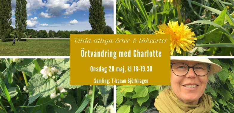 Ätbart i naturen - örtvandring på Nytorps gärde