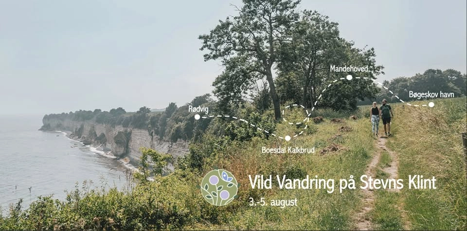 Vild Vandring på Stevns klint☀️🌾