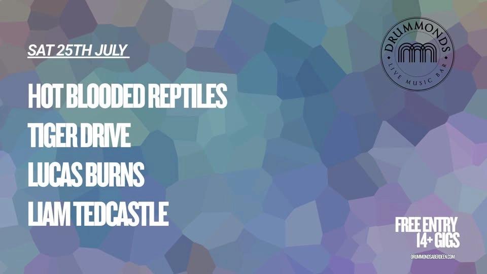 Hot Blooded Reptiles + Tiger Drive + Lucas Burns + Liam Tedcastle : Free Entry