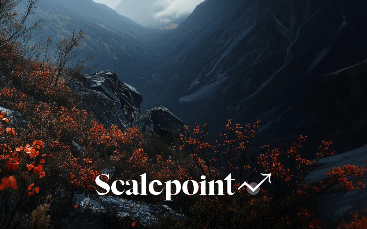 Fintech CFO Office Hours | Scalepoint