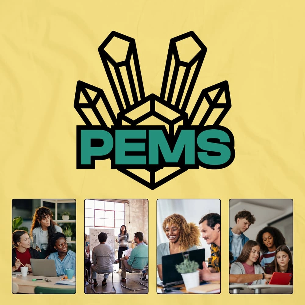 PEMS Focus Group