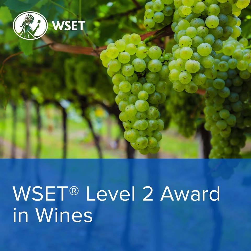 WSET Level 2 Award in Wines Bucharest