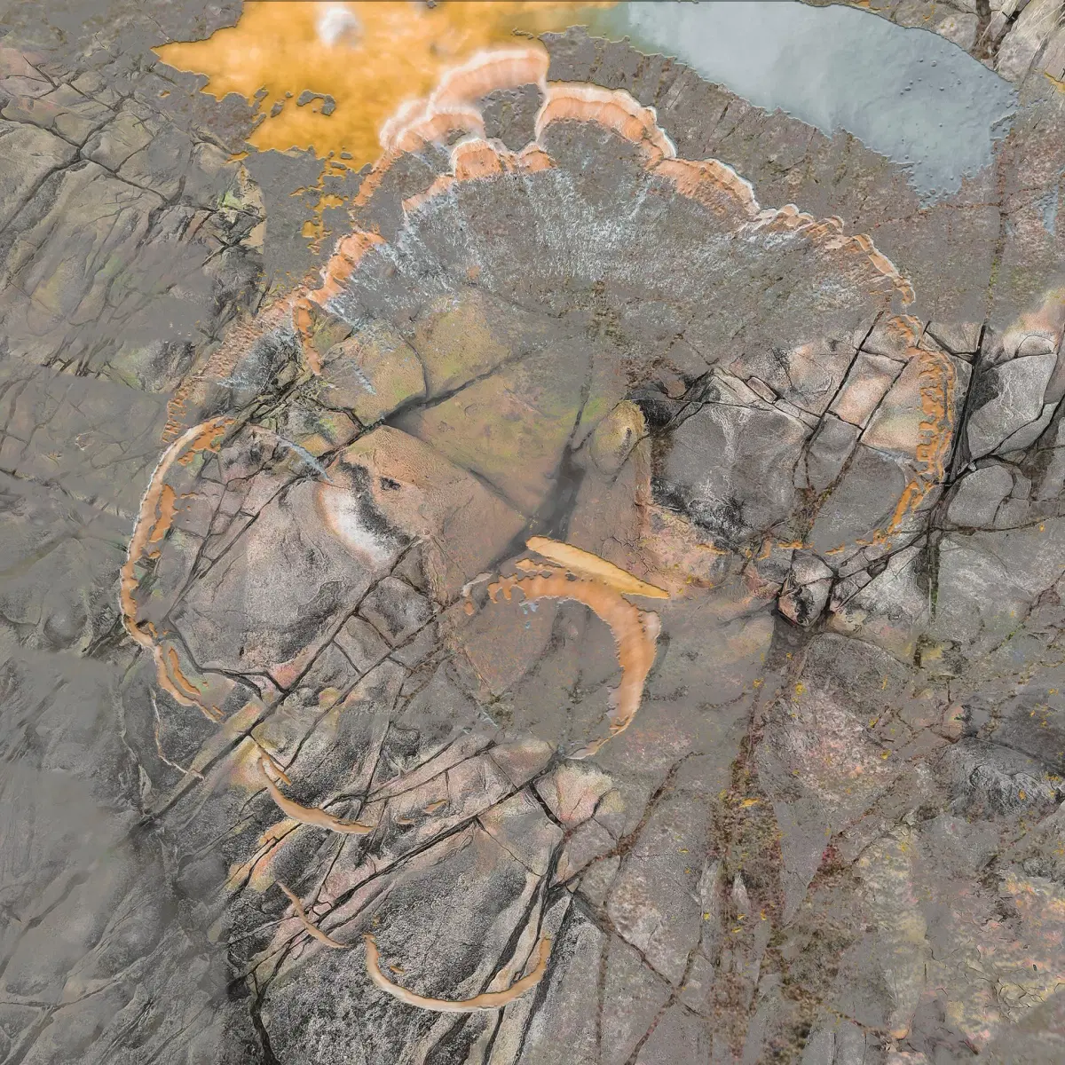 Carrier live A/V & Panchronics A/V