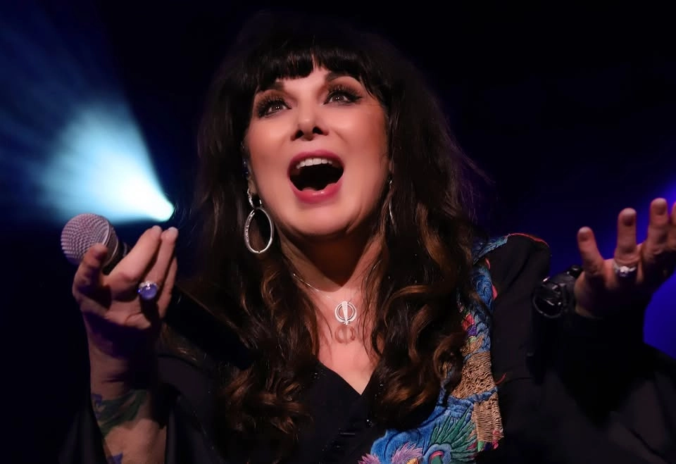 ANN WILSON: IN MY VOICE