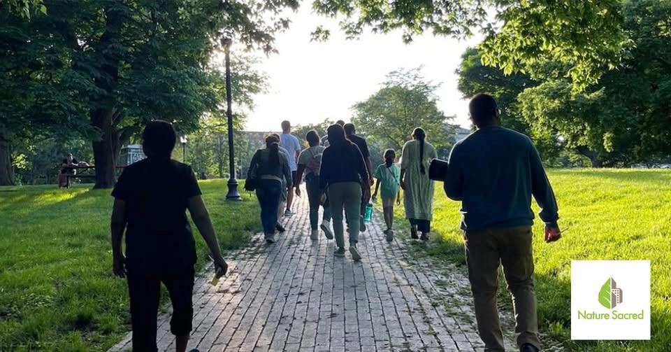 August Mindfulness Nature Walks