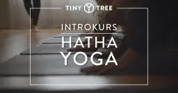 INTRODUKTION TILL YOGA